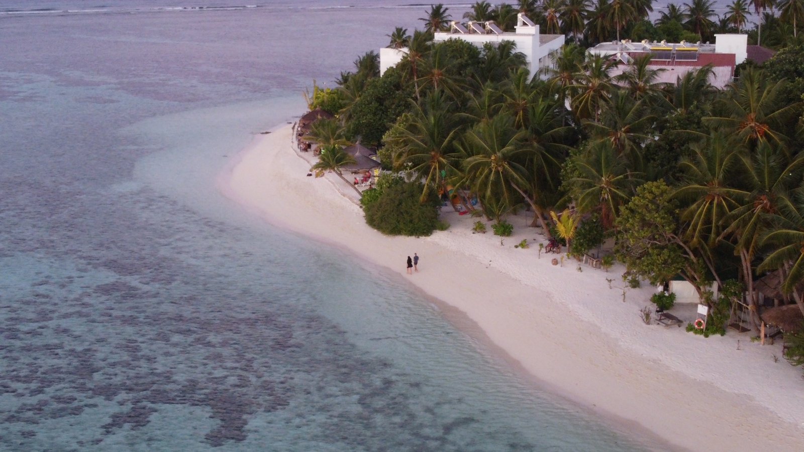 dcim100mediadji 0780.jpg