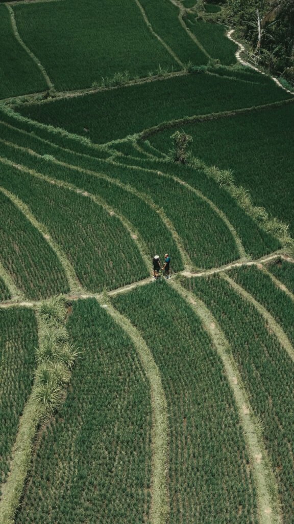 dcim101mediadji 0078.jpg