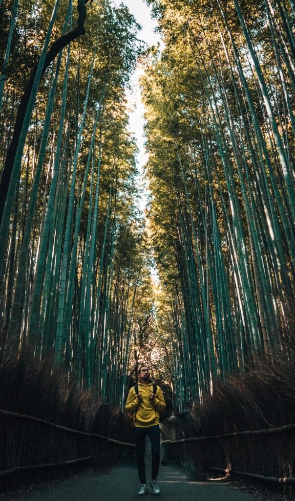 Blog voyage : guides, destinations et conseils | GlobStories dsc06872 original