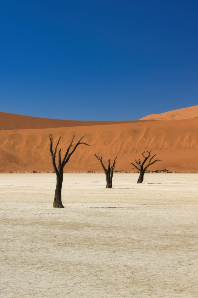 Breathtaking view of the arid Sossusvlei desert in Namibia with iconic dead acacia trees.